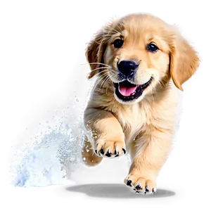 Golden Retriever Puppy Snow Play Png Wwm16 PNG Image