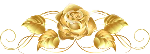 Golden Rose Elegance PNG Image