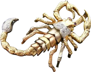 Golden Scorpion Brooch Jewelry PNG Image