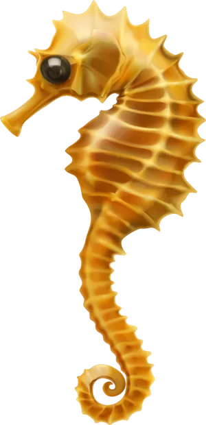 Golden Seahorse Illustration PNG Image