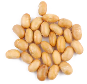 Golden Soybeans Top View PNG Image