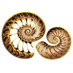 Golden Spiral Illustration Png 05232024 PNG Image