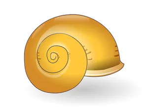 Golden Spiral Shell Illustration PNG Image