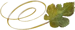 Golden Swirland Green Leaf Artwork PNG Image