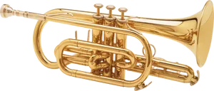 Golden Trumpet Isolated PNG Image