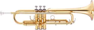 Golden Trumpet Isolatedon Transparent Background PNG Image