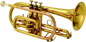 Golden Trumpet Isolatedon White PNG Image