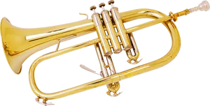 Golden Trumpet Isolatedon White PNG Image