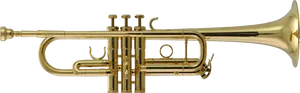 Golden Trumpet Side View PNG Image