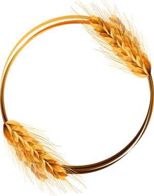 Golden Wheat Ears Circle Vector PNG Image