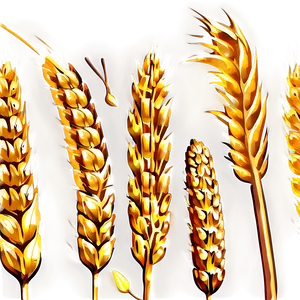 Golden Wheat Field Png 84 PNG Image