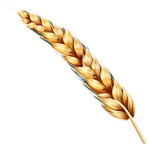 Golden Wheat Field Png Ptj PNG Image