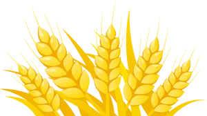 Golden Wheat Vector Illustration PNG Image