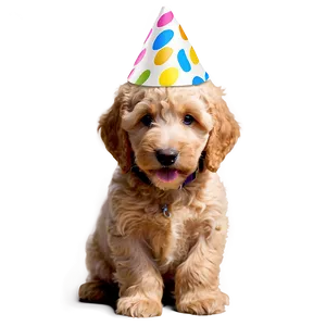 Goldendoodle Birthday Party Png Ewe48 PNG Image