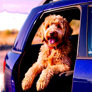 Goldendoodle In Car Png Jhg PNG Image