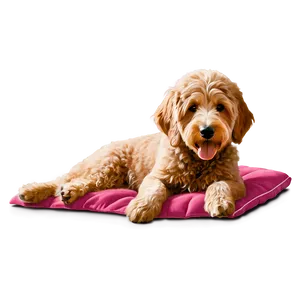 Goldendoodle On Bed Png 06262024 PNG Image