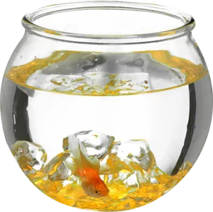 Goldfishin Glass Bowl PNG Image