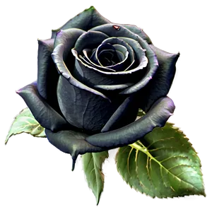 Gothic Black Roses Png Wjs PNG Image