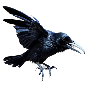 Gothic Raven Png 82 PNG Image