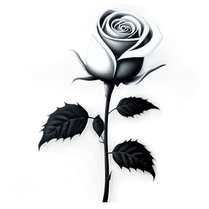 Gothic Rose Black And White Png Nnc PNG Image