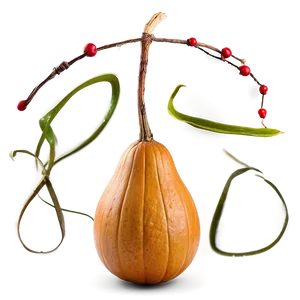 Gourd Display Png Tdc51 PNG Image