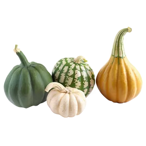 Gourd Garden Png Cjp33 PNG Image