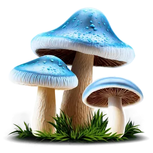 Gourmet Mushrooms PNG 05242024 PNG