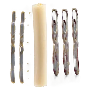 Gourmet String Cheese Png 37 PNG Image