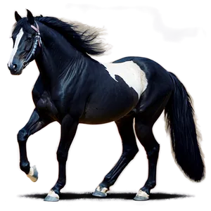 Graceful Black Mare Png 60 PNG Image