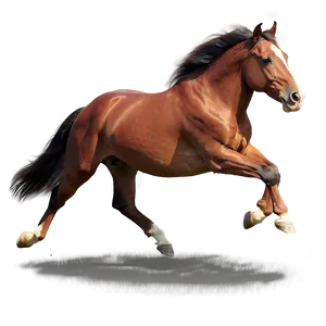 Graceful Horse Gallop Png 16 PNG Image