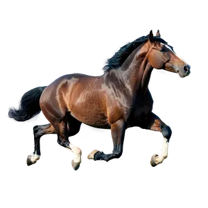 Graceful Horse Gallop Png Gvn37 PNG Image