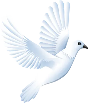 Graceful White Pigeon In Flight PNG Image