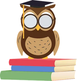 Graduate Owlon Books PNG Image