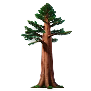 Grand Redwood Tree Png 38 PNG Image