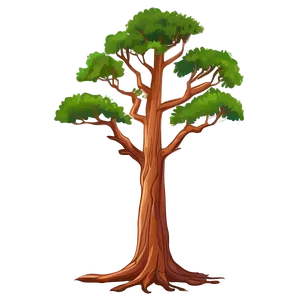 Grand Redwood Tree Png 67 PNG Image