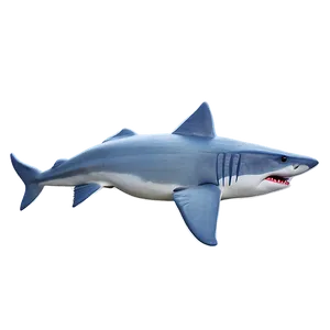 Grandpa Shark Fishing Trip Png Shp PNG Image