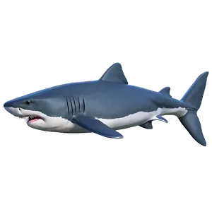 Grandpa Shark Swimming Png Rmv PNG Image