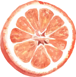 Grapefruit Slice Artistic Rendering PNG Image