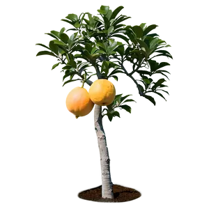 Grapefruit Tree Png Lsk PNG Image