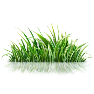 Grass Outline Clipart Png 98 PNG Image