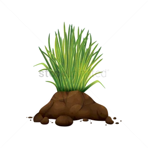 Grass Tufton Soil Mound PNG Image