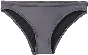 Gray Bikini Bottoms Isolated PNG Image