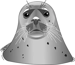 Gray Seal Vector Illustration PNG Image