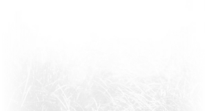 Grayscale Grass Field Texture PNG Image