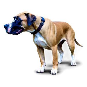 Great Dane In Park Png Ulu81 PNG Image