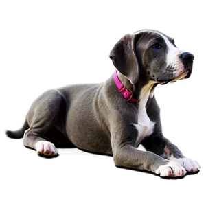 Great Dane Puppy Png Fuu PNG Image