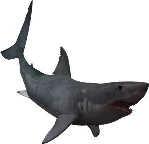 Great_ White_ Shark_ Swimming PNG Image