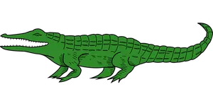 Green Alligator Illustration PNG Image