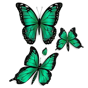 Green And Black Butterfly Design Png Kyy11 PNG Image