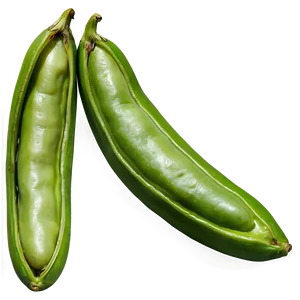 Green Bean Drawing Png Fkw5 PNG Image